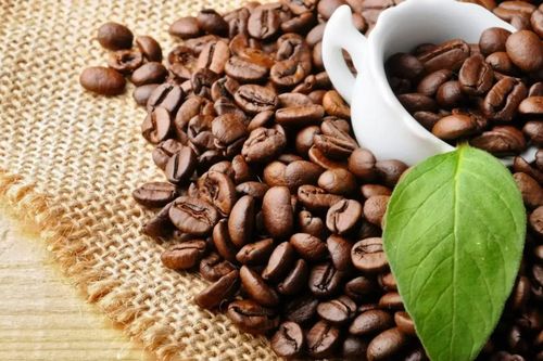 Cà phê Arabica được mùa, được giá