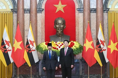 Quốc vương Brunei thăm cấp Nhà nước tới Việt Nam