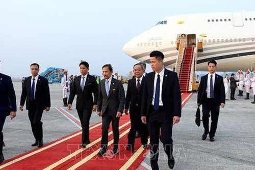 Quốc vương Brunei đến Hà Nội, bắt đầu chuyến thăm cấp Nhà nước tới Việt Nam