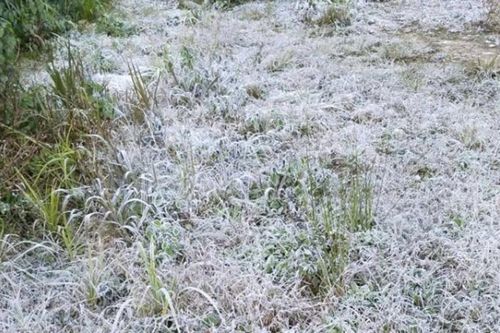 Nhiệt độ xuống dưới 0 độ C, băng giá xuất hiện ở miền núi Nghệ An