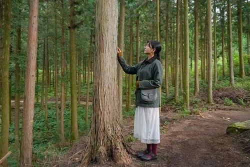 Khám phá Jeonbuk - 'thiên đường' du lịch chăm sóc sức khỏe xứ kim chi
