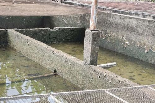 Quảng Ngãi: Khoảng 4.000 người dân xã Đăk Rve mong có nước sạch