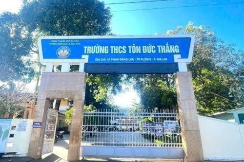 Vụ nữ sinh ở Gia Lai bị hành hung, hiệu trưởng nói gì?