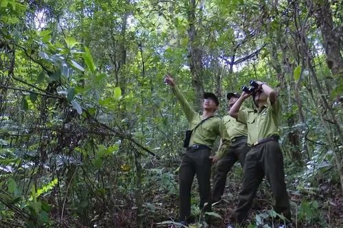 Sơn La huy động sức dân bảo vệ rừng