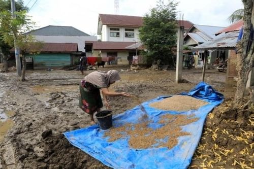 Lũ lụt và lở đất ở Indonesia: Một triệu người phải sơ tán, số người tử vong vượt quá 600
