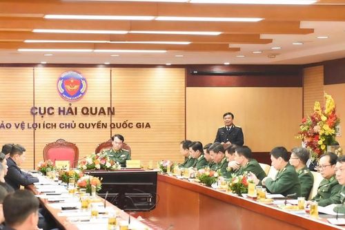 Hải quan - Biên phòng phối hợp phát hiện, bắt giữ 1.184 vụ việc trong gần 5