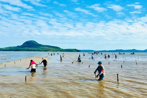 Quảng Ninh chấn chỉnh tình trạng nuôi trồng thủy sản