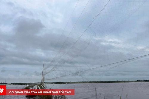 Hơn 62.000 que dính nhựa và hàng nghìn bẫy, lưới bị tiêu hủy