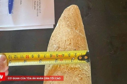 Kiểm tra hành chính đối tượng rao bán ngà voi trên mạng xã hội