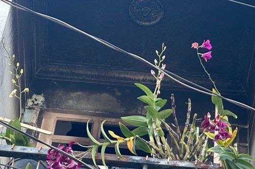 Công an TPHCM điều tra vụ cháy làm bé gái 8 tuổi tử vong