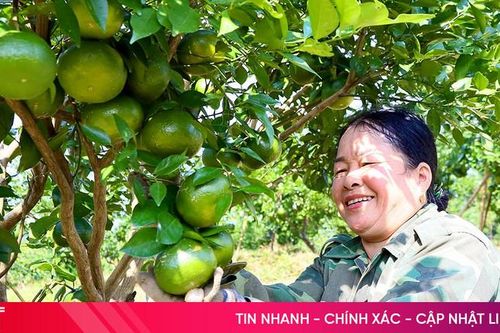 Chăm cam bù chặng 'nước rút'