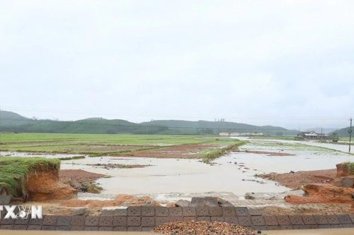 Đắk Lắk: Nhiều tuyến kênh thủy lợi bị sạt lở, đe dọa hơn 15.000 ha lúa