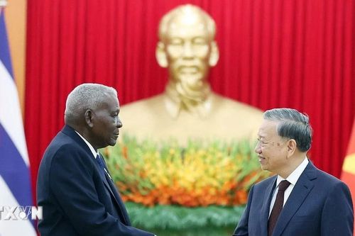 Điện mừng 65 năm ngày thiết lập quan hệ ngoại giao giữa Việt Nam và Cuba