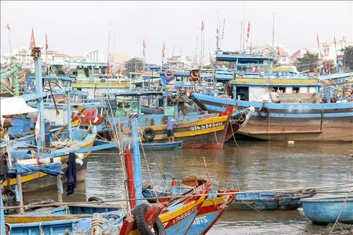 Giải tỏa lệnh cấm biển, ngư dân Lâm Đồng vươn khơi khai thác thủy sản