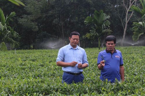 Chính sách tín dụng tiếp sức người lao động phát triển sinh kế bền vững