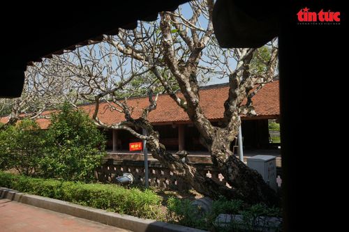 Chùa Keo: 'Bảo tàng sống' giữa lòng Hưng Yên