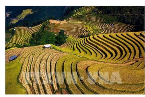 Từ vốn chính sách đến giấc mơ làm giàu trên núi