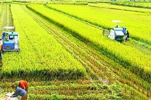 Các bộ, ngành chung tay giảm phát thải khí mê-tan