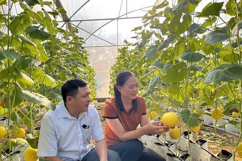 Hết lòng vì việc thôn