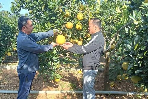 Bí thư chi bộ thôn Quý Thanh gương mẫu, trách nhiệm
