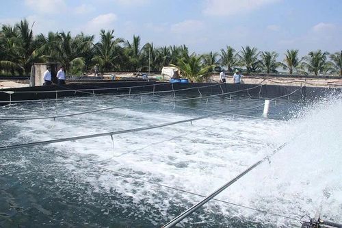 Sức hút từ 'Vườn đẹp, trang trại hiệu quả'