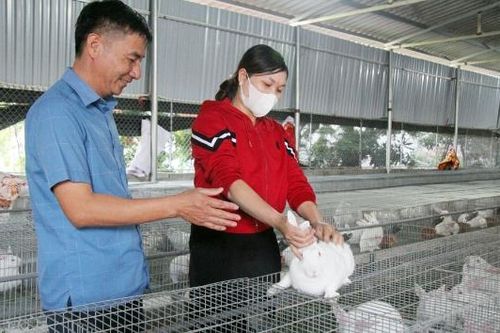 Phát triển chăn nuôi ở Cẩm Lý: Tạo việc làm, nâng cao thu nhập