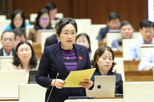 ĐBQH tỉnh đề xuất hoàn thiện cơ chế, tháo gỡ khó khăn các chương trình mục tiêu quốc gia