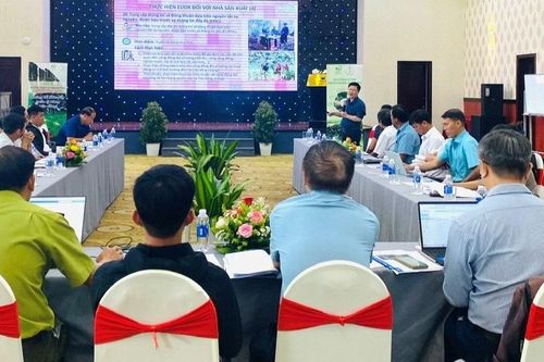 Gia Lai chủ động tìm hướng thích ứng với EUDR