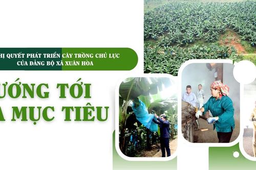 Hướng tới đa mục tiêu