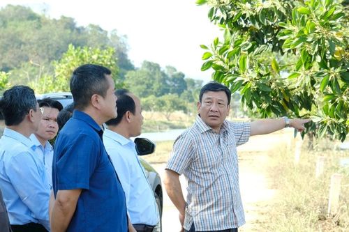 Phó Bí thư Tỉnh ủy Lâm Đồng Bùi Thắng khảo sát tình hình thiệt hại mưa lũ tại xã Cát Tiên