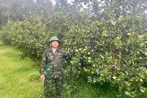 Chinh phục vùng gò đồi Trầm Tiêu