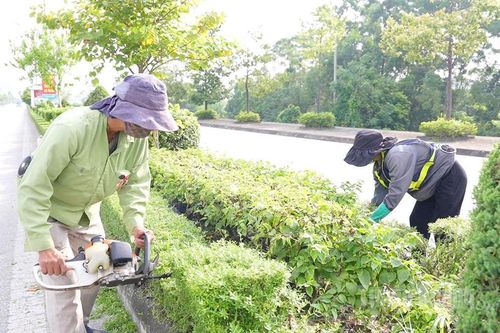Thông suốt tư tưởng, hành động quyết liệt