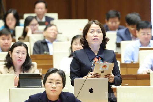 Trưởng đoàn ĐBQH chuyên trách tỉnh Lý Thị Lan: Gắn kết chính sách dân số và chính sách y tế để nâng cao chất lượng chăm sóc sức khỏe Nhân dân