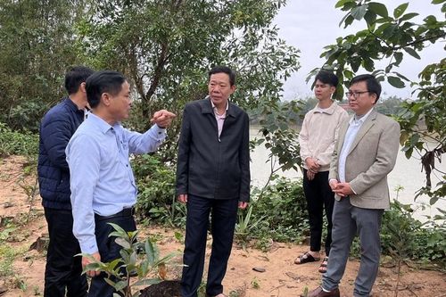 Khảo sát các điểm dân sinh trước Kỳ họp thứ 11, HĐND thành phố khóa VIII