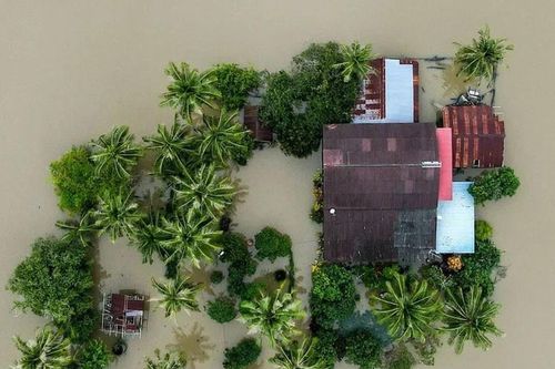 Bão, lũ bất thường ở 3 nước Đông Nam Á: Gần 800 người thiệt mạng