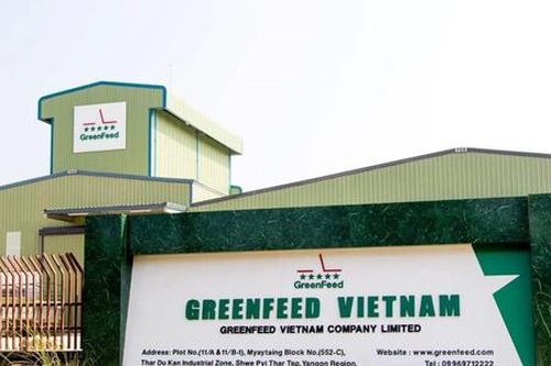 GreenFeed Việt Nam báo lãi 1.700 tỷ đồng trong 6 tháng đầu năm 2025