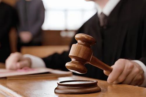 Hai kiểm toán viên ký báo cáo tài chính của Garmex Sài Gòn bị đình chỉ