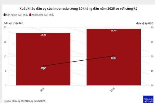 Indonesia xuất khẩu hơn 20 tỷ USD dầu cọ trong 10 tháng