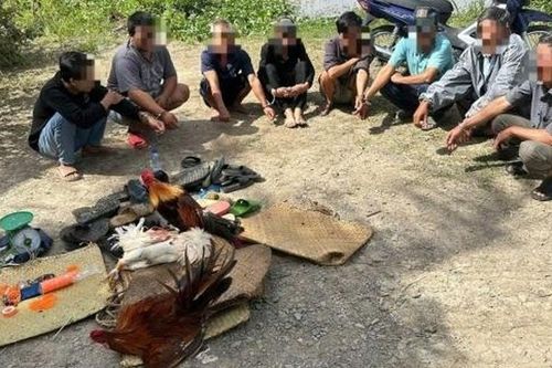 Tạm giữ 8 đối tượng 'làm điều mờ ám' tại khu đất trống