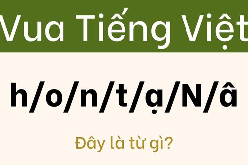 Một giây mất tập trung là bạn sẽ rơi vào 'bẫy' của câu đố này
