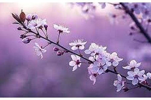 Giờ sinh Âm lịch quyết định vận mệnh: 5 khung giờ đưa chủ nhân vào nhóm vượng lộc