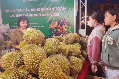Hà Nội, khai mạc Hội chợ trái cây, nông sản an toàn 2025