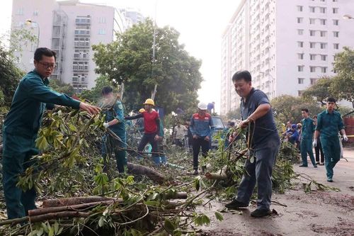 Chấm dứt quản lý đô thị theo kiểu 'chiến dịch'