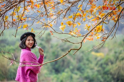Mãn nhãn với mùa phong hương trút lá