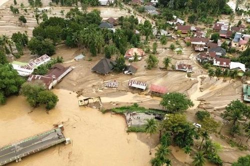 Indonesia thừa nhận nạn phá rừng khiến thảm họa lũ lụt trở nên trầm trọng