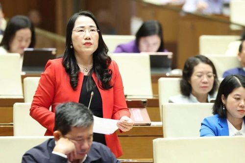 Tăng cường rà soát, giải quyết các vụ việc, vụ án tạm đình chỉ