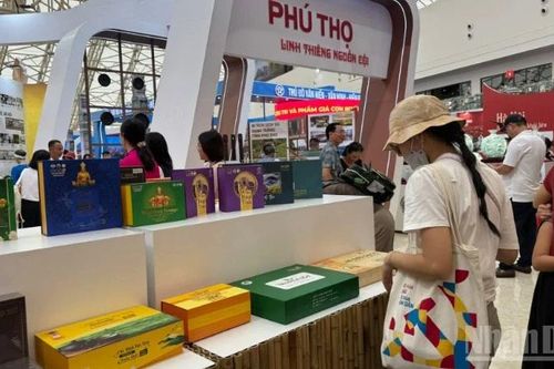 OECD: Việt Nam duy trì nền tảng tăng trưởng tích cực trong giai đoạn 2026-2027