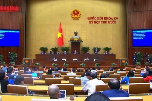 Hơn 96% vụ việc liên quan đến quy hoạch, quản lý và sử dụng đất đai đã được giải quyết
