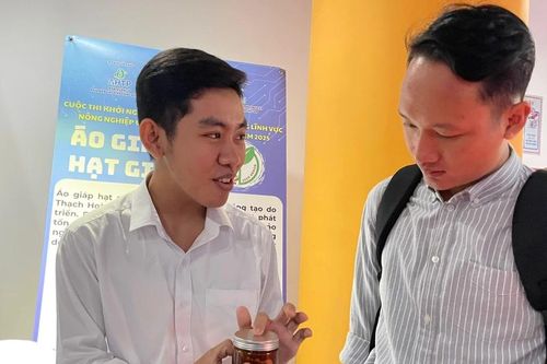 Lớp keo 'thần kỳ' bảo vệ hạt giống