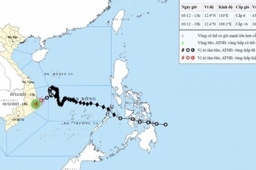 Áp thấp nhiệt đới gió cấp 6, giật cấp 8, di chuyển trên vùng biển Đắk Lắk - Khánh Hòa